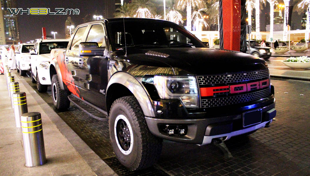 Ford F150 7 (5)