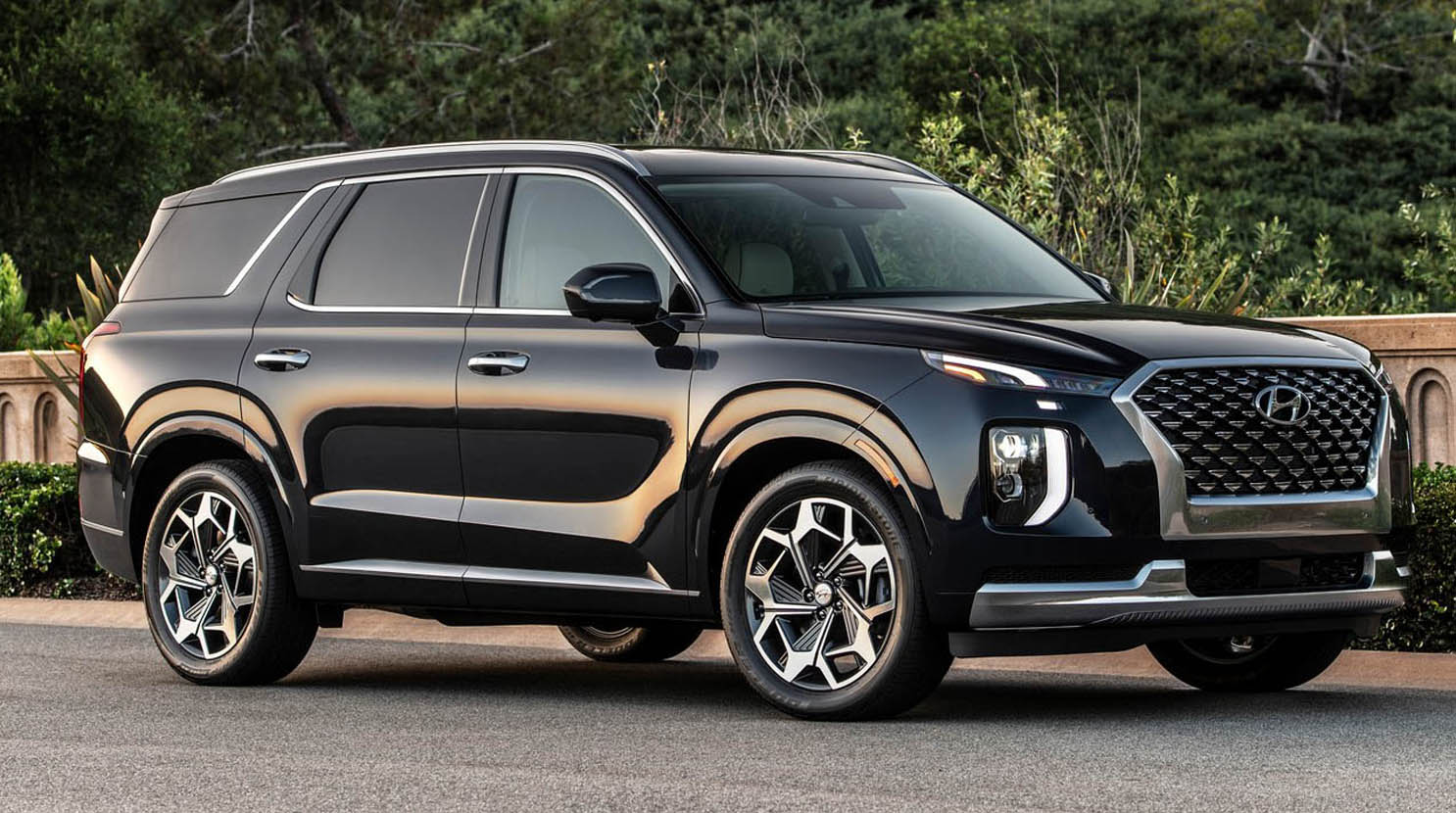 Für Hyundai Palisade 2022 2021 2020 2019 Auto Mittel Insekten